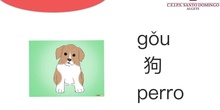 ANIMALES- LENGUA Y CULTURA CHINA