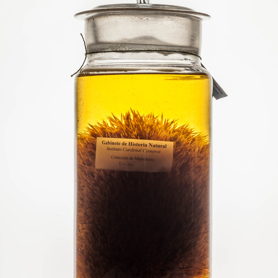 IES_CARDENALCISNEROS_CIENCIASNATURALES_291