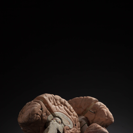 IES_CARDENALCISNEROS_ANATOMIA_MODELOS_097