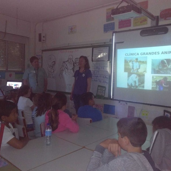 Cuarto A y B celebra el Día de la Familia con sorpresas..._CEIP FDLR_Las Rozas 1