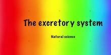 EXCRETORY SYSTEM