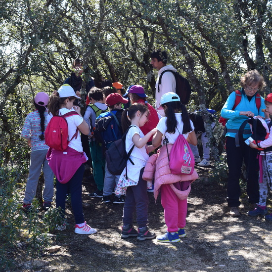 Sendero Vivo 3º Primaria 2018 24