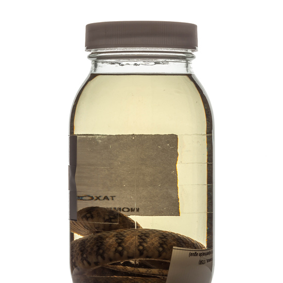 IES_RAMIRODEMAEZTU_BIOLOGIA_070