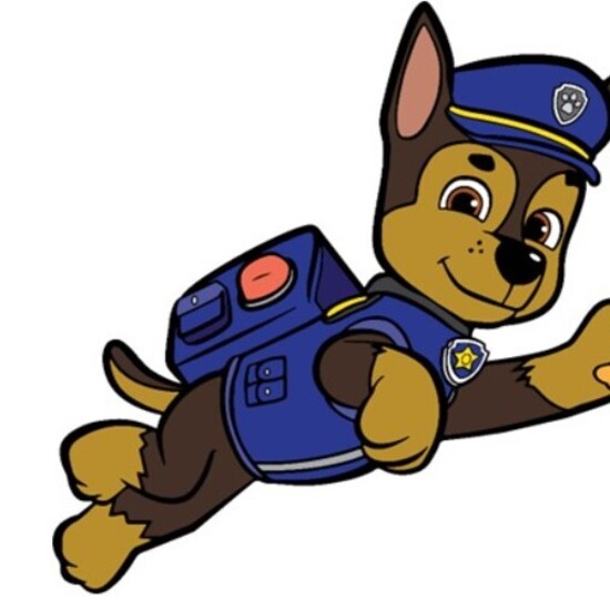 Actividad Desarrollo Individual