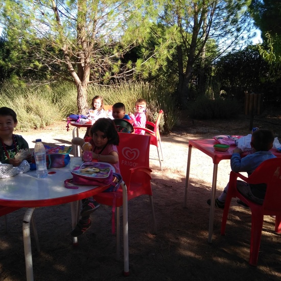 Excursión bosque encantado 26