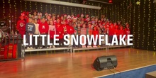 Little Snowflake