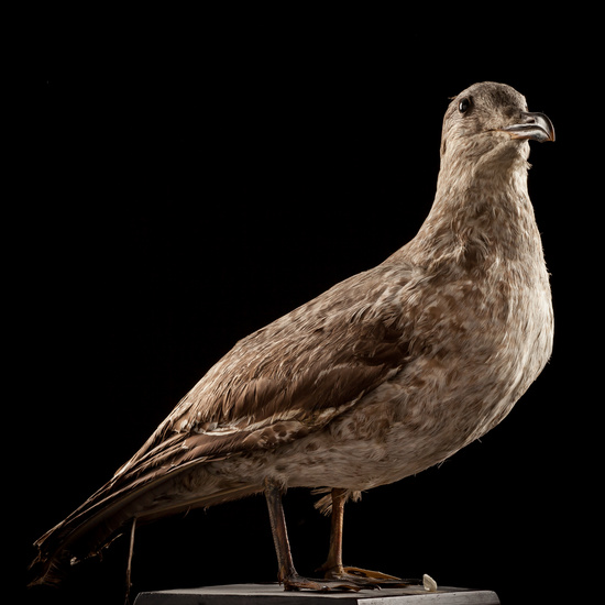 IES_SANISIDRO_BIOLOGIA_005