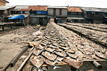 Secado con salmuera, Jakarta
