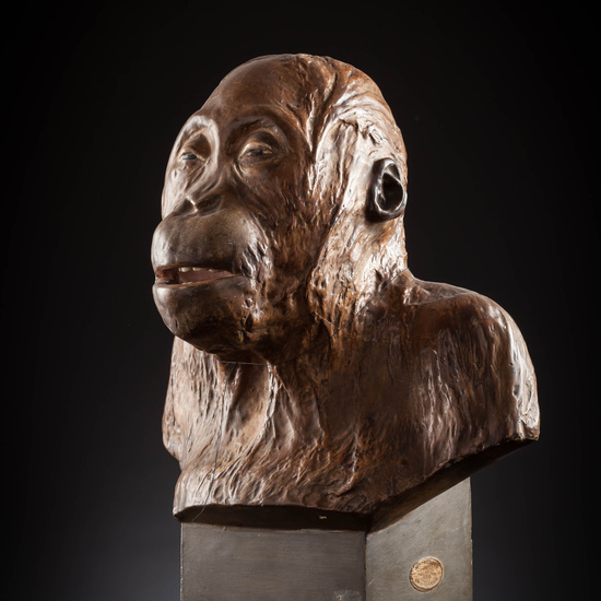 IES_SANISIDRO_MUSEO_Zoolgía_082