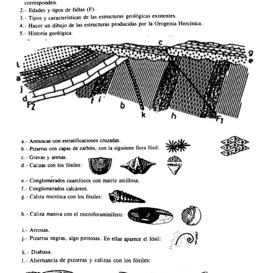 Historia geológica_13