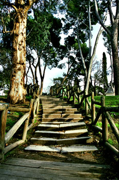 Escalera de madera en un parque