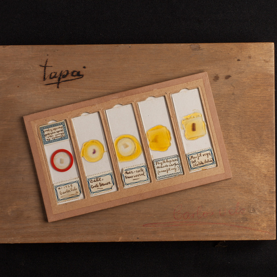 IES_ISABELLACATOLICA_BIOLOGIA_222