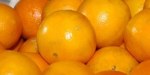 Naranjas