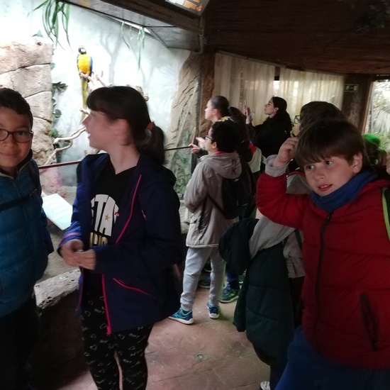 FAUNIA. 5º curso 36