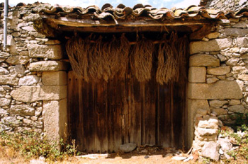Portada típica en Torrefrades de Sayago, Zamora, Castilla y León