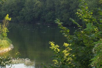 Río Arun, Inglaterra