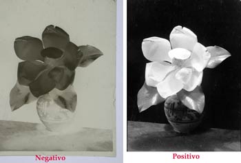 Negativo y positivo fotográficos