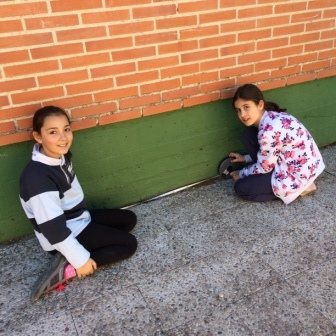 Quinto mide el Colegio 6