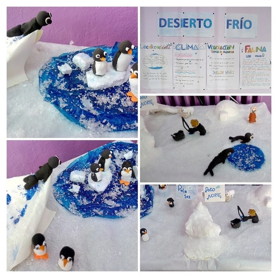ECOSISTEMAS 5º CURSO 3