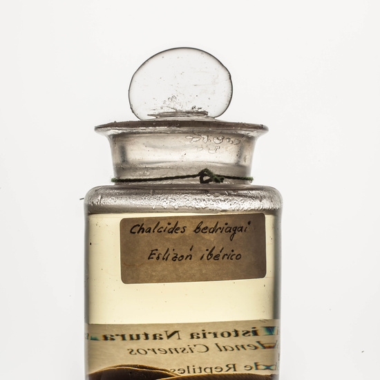 IES_CARDENALCISNEROS_CIENCIASNATURALES_238