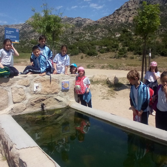 Camino de Santiago 3º EP 8