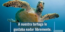 CUENTO DE LA  ANCIANA TORTUGA