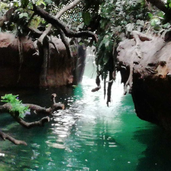 Parque de la Naturaleza. Faunia. 5º Curso. 30