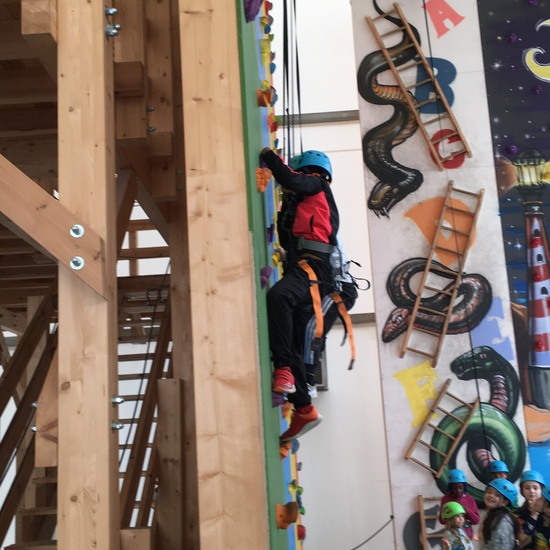 3º de Primaria visita el Verical Park 12