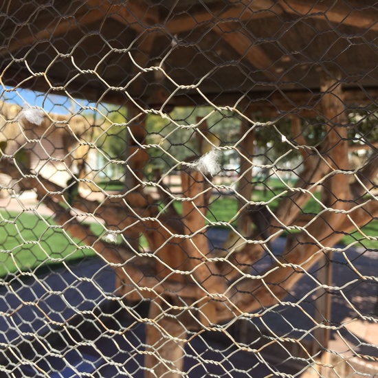 4º en la Granja Escuela El Rodeo. 16