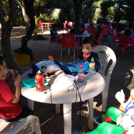 Excursión bosque encantado 21