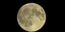 Luna llena