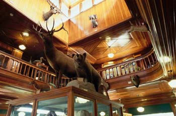 Sala de un museo, Estados Unidos