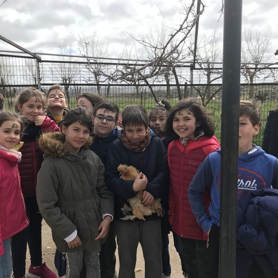 Granja Escuela “El Álamo” 3º y 4º EP_1 32