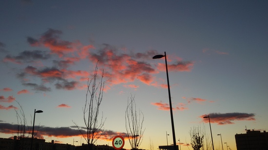 Camila Castillo Araujo 3ºC IES SATAFI Concurso Fotografía