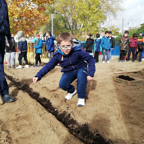 Huerto escolar 2019/20 44
