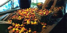 “Canigú” (Lugar para guardar frutos), Museo de la Si