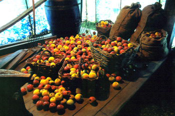 “Canigú” (Lugar para guardar frutos), Museo de la Si