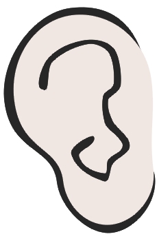 Oreja derecha