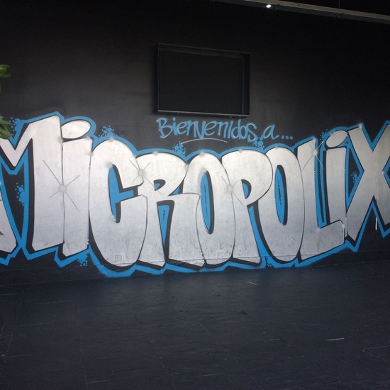 2018_03_MICROPOLIS_QUINTO_CEIP FDLR_LAS ROZAS 20