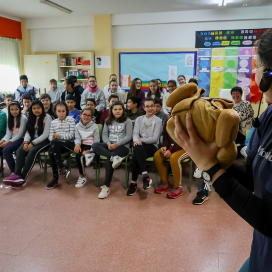 INMERSIÓN LINGÜÍSTICA 2019 (II) 17