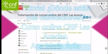 Tutorial calificaciones curso on line