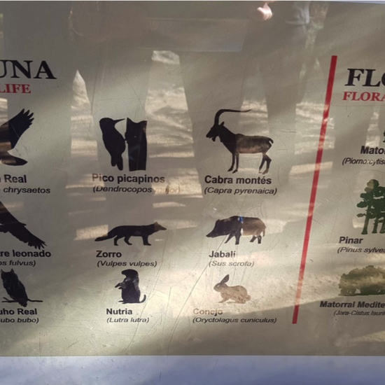 La Pedriza. 3º ESO. 2017-2018. 23