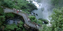 Cataratas de Iguazú