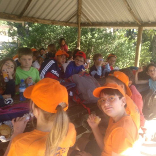 2019_06_14_4º de primaria en Cañada Real_CEIP FDLR_Las Rozas 1