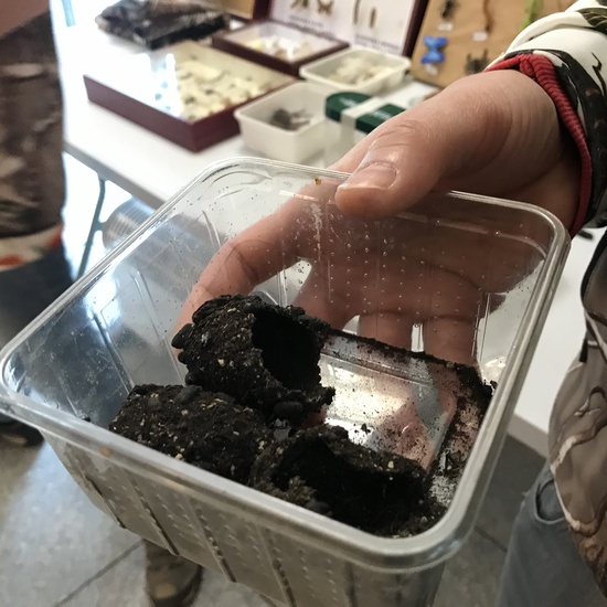 2020_02_27_3º visita Insectpark (4)_CEIP FDLR_Las Rozas 23