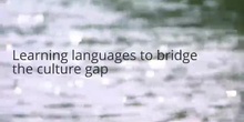 A language learning metaphor: learning languages to bridge the culture gap