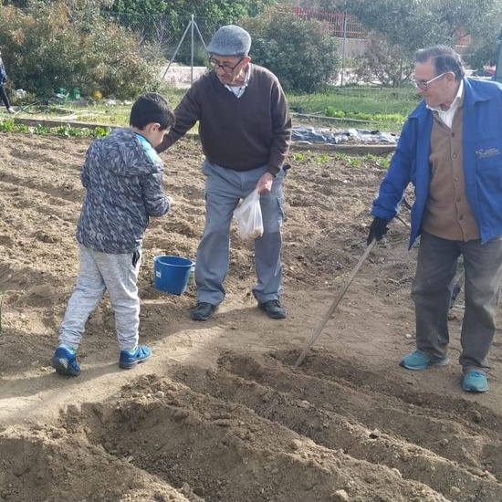 1º de Primaria_Plantamos garbanzo  10