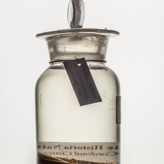 IES_CARDENALCISNEROS_CIENCIASNATURALES_227