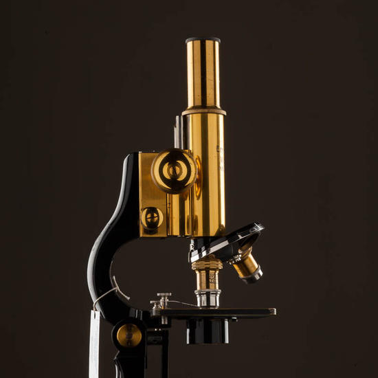 IES_ISABELLACATOLICA_BIOLOGIA_533