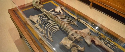 El gigante extremeño